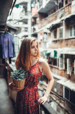 惊爆！老马的儿媳顾婉婷小说，你看过几部？