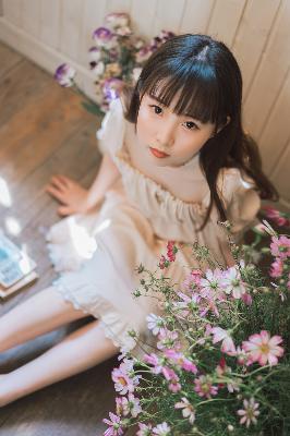 《浮花浪蕊父女小说》究竟藏着啥秘密？数字背后的夺墨点星大揭秘！