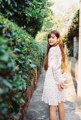 震惊！《斗破苍穹》小说背后竟藏着这些秘密！10大看点你知道几个？